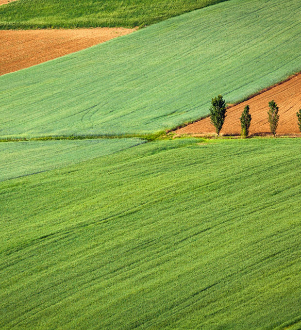 Supporting charity initiatives | Responsibility | About Us | DPR - DPR