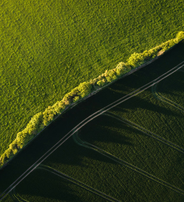 Accurate Analysis | Boundary Determination | Services | DPR - DPR