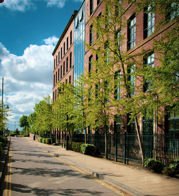 Clear, insightful and effective reports | Harnessing innovation | Daylight & Sunlight | Services | DPR - DPR