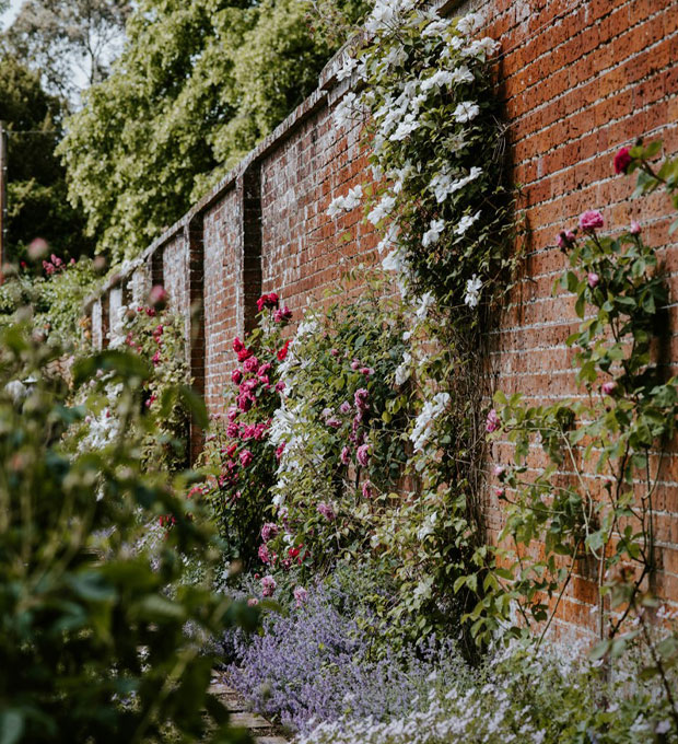 Specialists in matters of compliance | Party Walls | Neighbourly Matters | Services | DPR - DPR